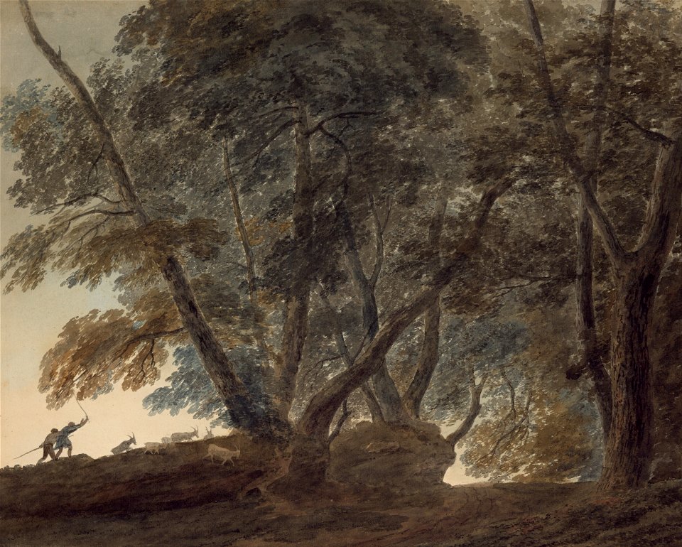 John Robert Cozens - The goatherd- View on the Galleria di Sopra above the Lake of Albano - Google Art Project
