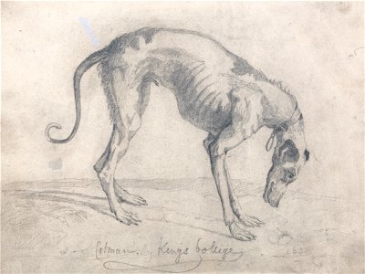John Sell Cotman - A Starved Greyhound - Google Art Project