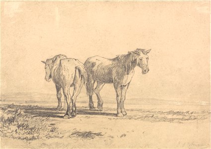 John Sell Cotman - Two Old Horses Standing in a Field - Google Art Project