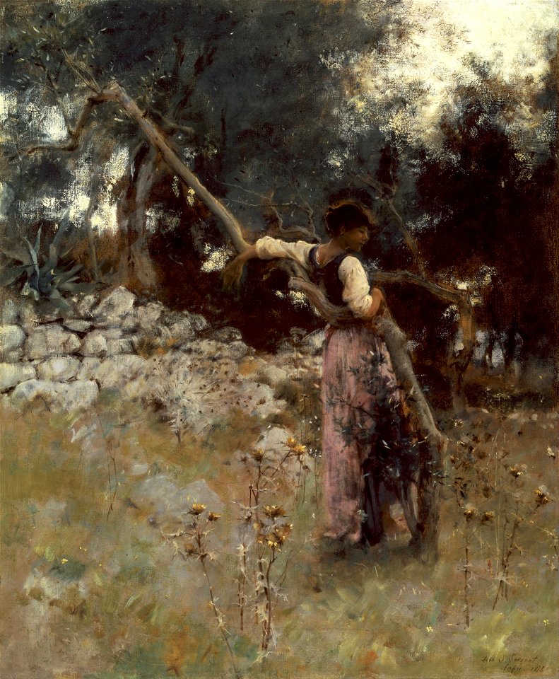 John Singer Sargent - A Capriote - Google Art Project
