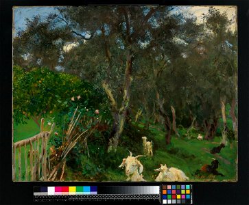John Singer Sargent - Olives in Corfu - 1067 - Nationalmuseum