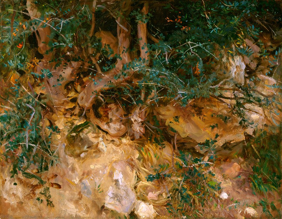 John Singer Sargent - Valdemosa, Majorca - Thistles and Herbage on a Hillside