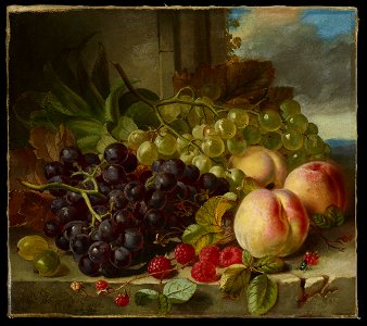 John Wainewright - Still Life with Fruit - 94.86.32 - Minneapolis Institute of Arts