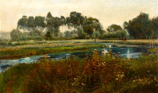 John William Buxton Knight (1842-1843-1908) - Wemys's Agrimony - 1214800 - National Trust
