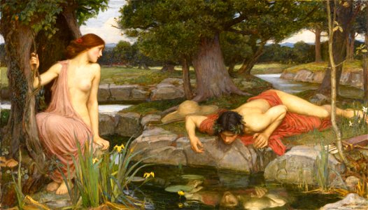John William Waterhouse - Echo and Narcissus - Google Art Project