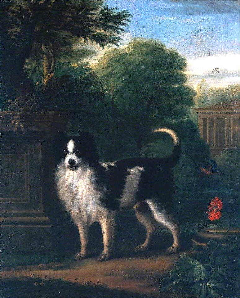 John Wootton (c.1682-1764) - Muff, a Black and White Dog - T02379 - Tate