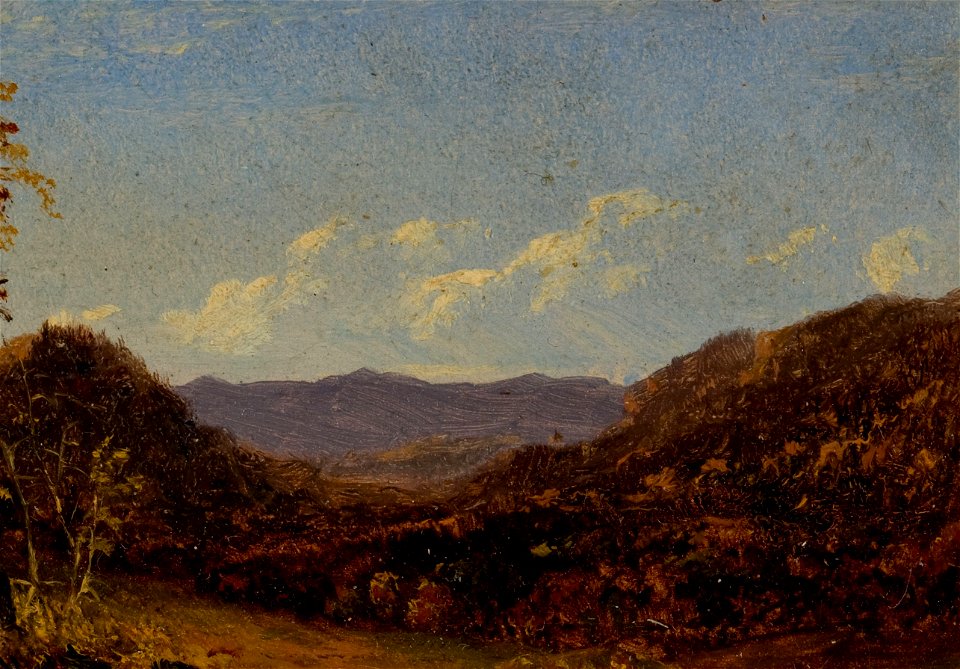 Landscape with Mountains-David Johnson