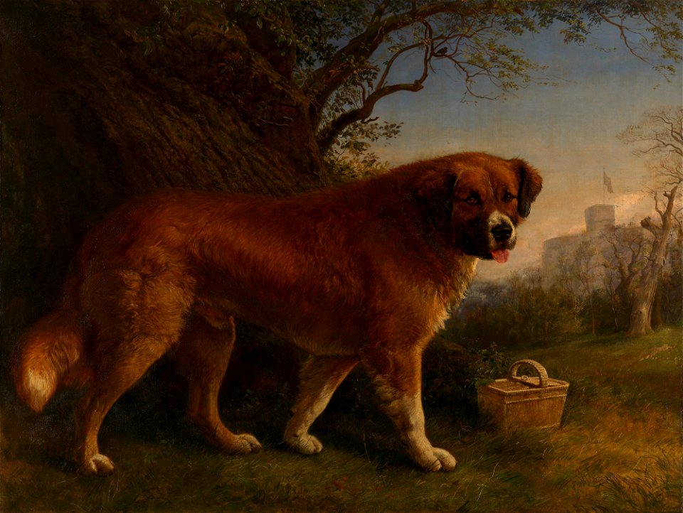 John William Bottomley (1816-1900) - Maurice - RCIN 403639 - Royal Collection