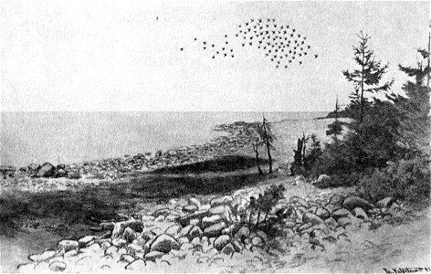 Jomfruland-1893