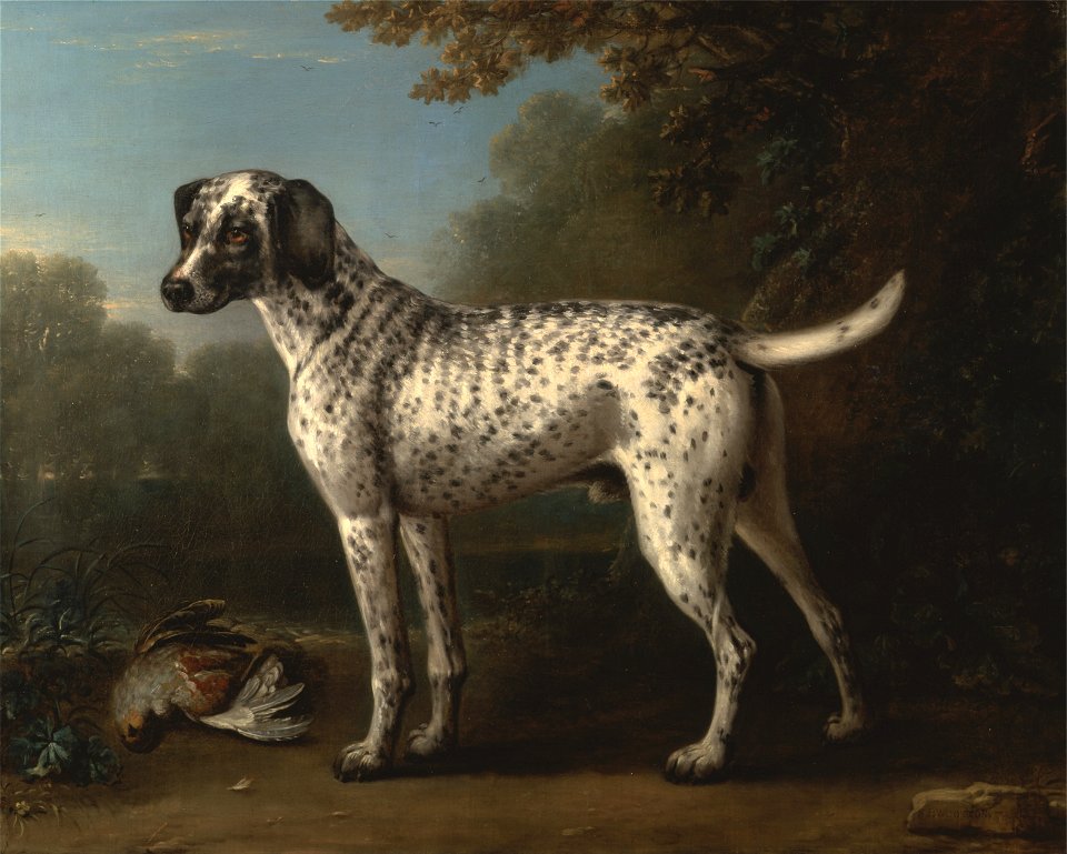 John Wootton - A Grey Spotted Hound - Google Art Project