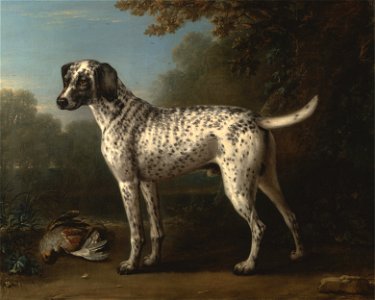 John Wootton - A Grey Spotted Hound - Google Art Project