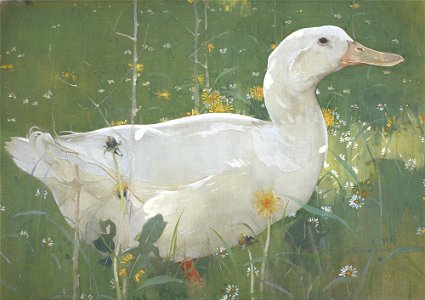 Joseph Crawhall - The White Drake - Google Art Project
