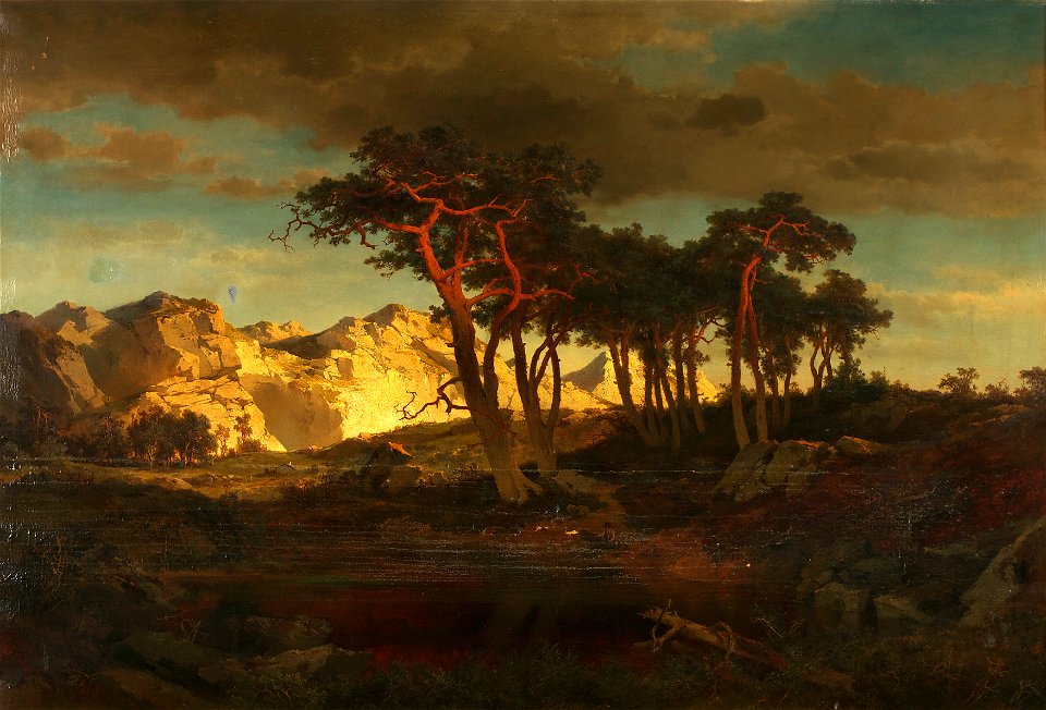 Joseph Brunner - Rotföhren - 55 - Österreichische Galerie Belvedere