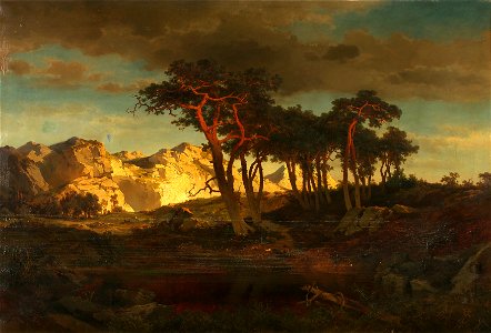 Joseph Brunner - Rotföhren - 55 - Österreichische Galerie Belvedere