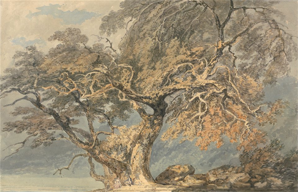 Joseph Mallord William Turner - A Great Tree - Google Art Project