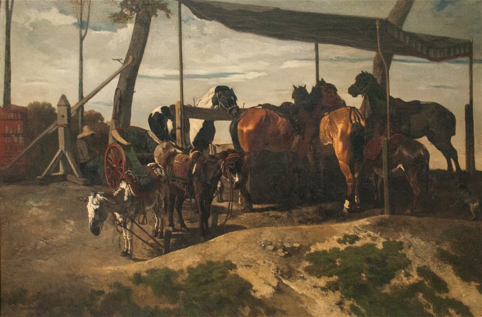 Joseph Stevens - Horses and Donkeys for Hire
