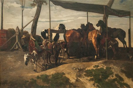 Joseph Stevens - Horses and Donkeys for Hire