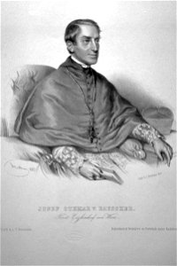 Joseph Othmar von Rauscher Stadleer Litho