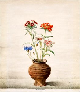 Joseph Mangold Blumen im Tonkrug