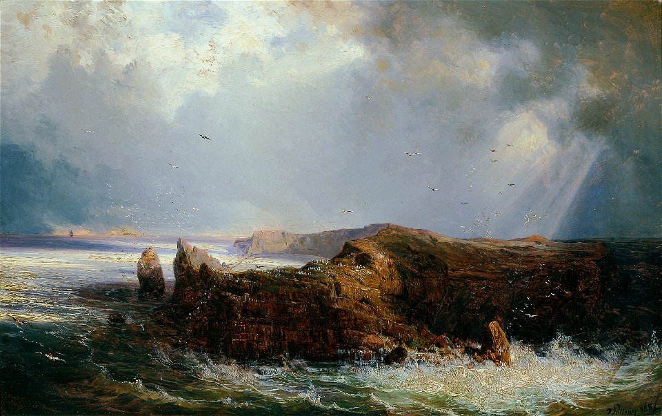 Joseph Selleny - Die Insel St. Paul im Indischen Ozean - 5432 - Österreichische Galerie Belvedere