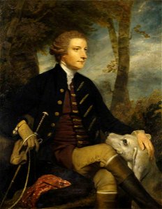 Joshua Reynolds (1723-1792) - Sir Thomas Dyke Acland (1722–1785), 7th Bt, MP - 922308 - National Trust