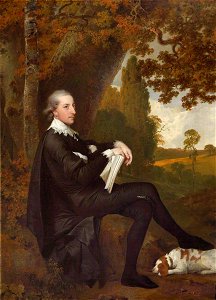 Joseph Wright of Derby (1734-1797) - The Reverend Henry Case (1746-1747–1825), Later The Reverend Henry Case-Morewood - 1440719 - National Trust