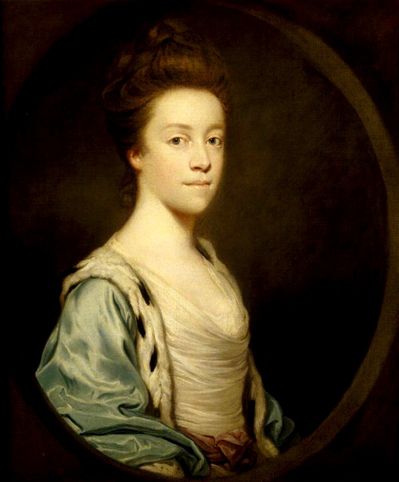Joshua Reynolds (1723-1792) - Margaret Luttrell (1747–1792), Mrs John Henry Southcote - 726073 - National Trust