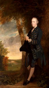 Joshua Reynolds (1723-1792) - John Fane (1728–1774), 9th Earl of Westmorland - 353054 - National Trust