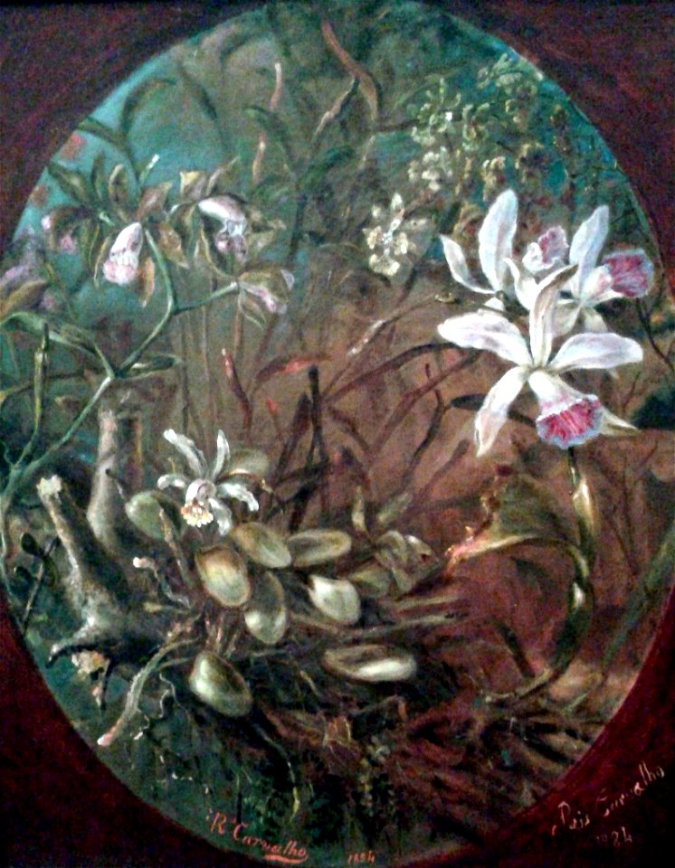 José dos Reis Carvalho - Parasitas