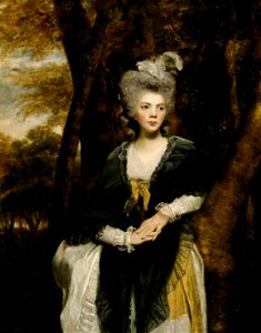Joshua Reynolds - Lady Frances Finch - Google Art Project. Free illustration for personal and commercial use.
