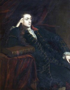 Joshua Reynolds (1723-1792) - Bennet Langton (1737–1801) - 637611 - National Trust