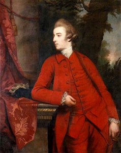 Joshua Reynolds (1723-1792) - Colonel John Dyke Acland (1746–1778), MP - 922316 - National Trust