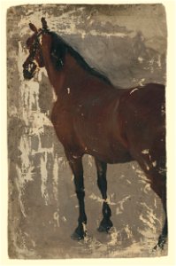 Jozef Hanula - Štúdia koňa - M 274 - Gallery of Spiš Artists