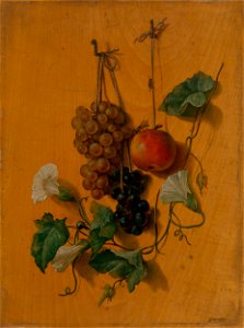 Jozef Ginovský - Zátišie s ovocím - O 7107 - Slovak National Gallery