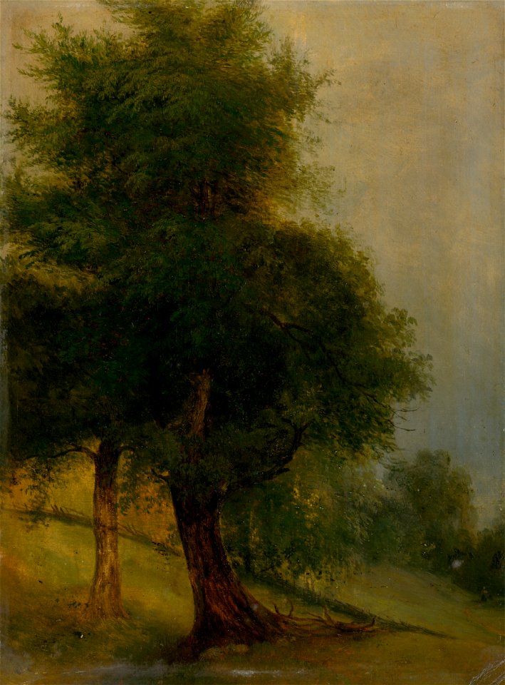 Jozef Božetech Klemens - Trees on a Slope - O 9 - Slovak National Gallery
