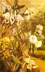 Juan de Jesus Izquierdo 01