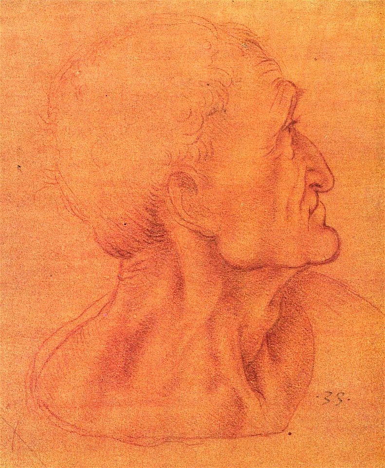 Judaskopf (da Vinci)