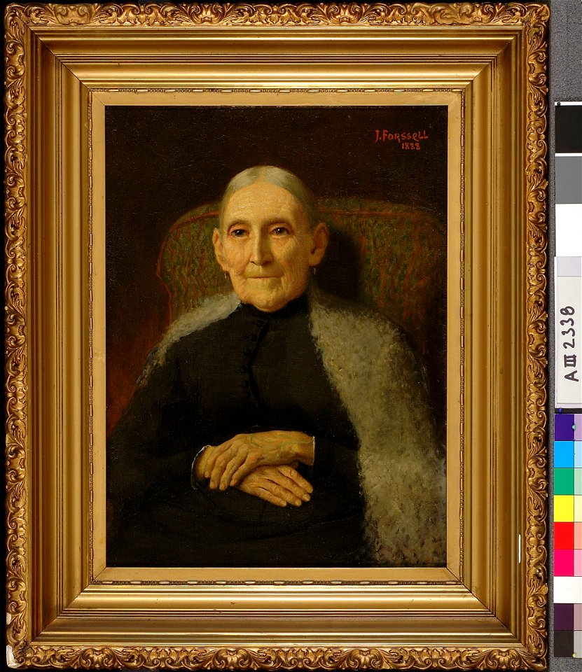 Juho Forsell - Vanha eukko - A III 2338 - Finnish National Gallery