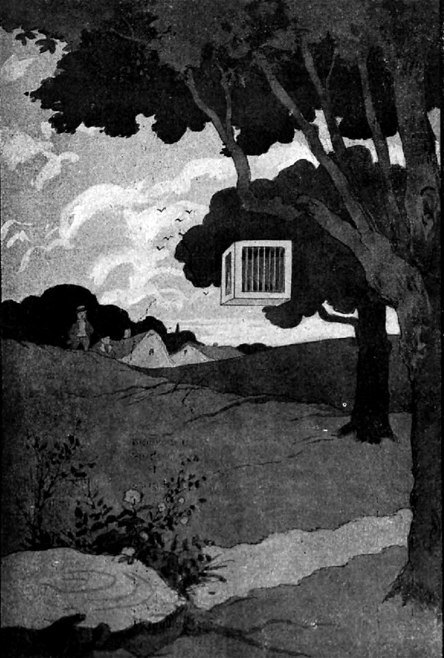 Jules Renard, Histoires naturelles, La cage