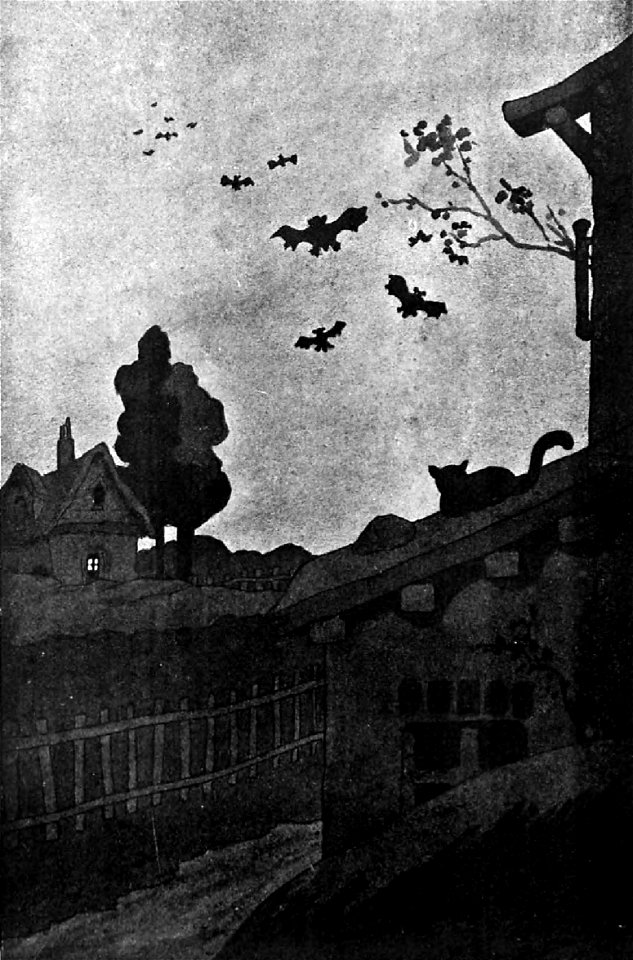 Jules Renard, Histoires naturelles, Les chauves-souris