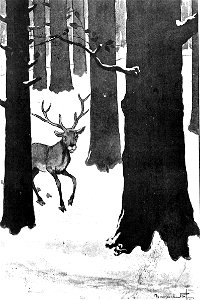 Jules Renard, Histoires naturelles, Le cerf