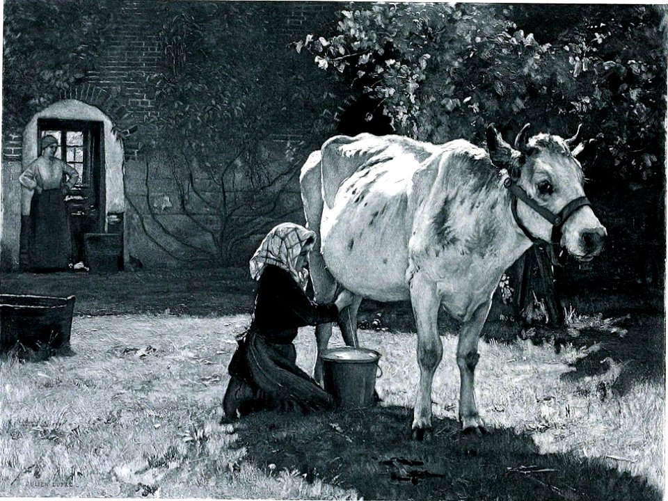 Julien Dupré La Vache Blanche