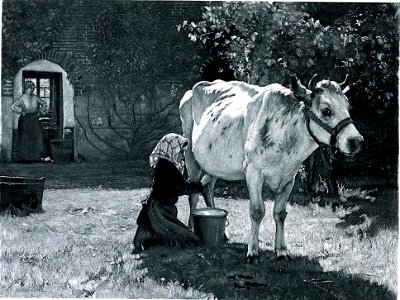 Julien Dupré La Vache Blanche