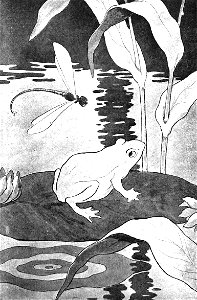 Jules Renard, Histoires naturelles, les grenouilles