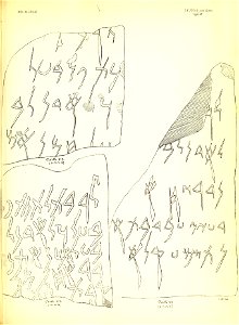 Julius Euting's Punische Steine Table XXI