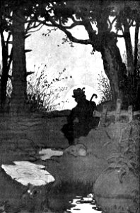 Jules Renard, Histoires naturelles, Le chasseur d'images