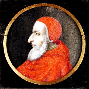 Julius II anomyous portrait. Free illustration for personal and commercial use.