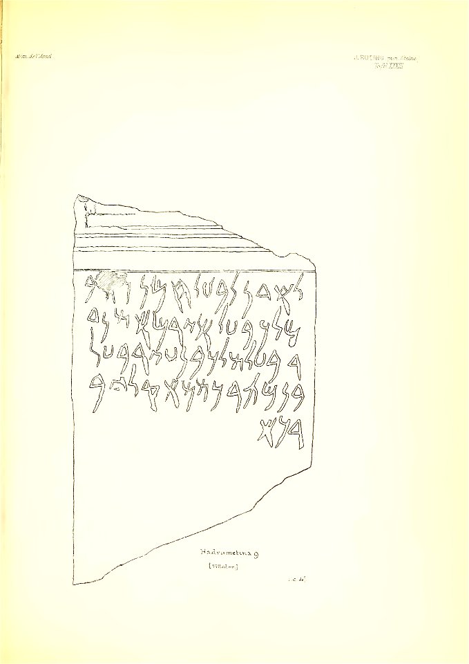 Julius Euting's Punische Steine Table XXXIII