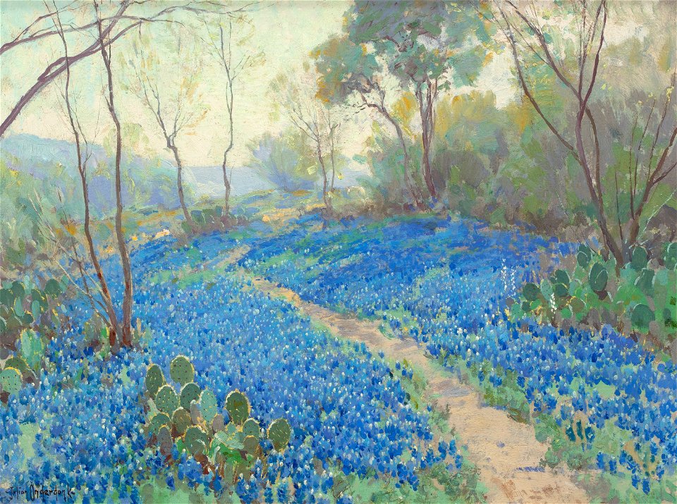 Julian Onderdonk - A Hillside of Blue Bonnets- Early Morning, Near San Antonio Texas (1916)