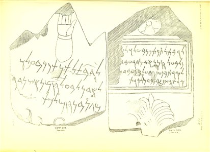 Julius Euting's Punische Steine Table XVI